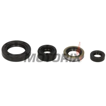 Sada gufer motoru -WINDEROSA- Suzuki DR 350 1990-1999