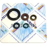 Sada gufer motoru -ATHENA- Kawasaki KLX 250 2007-2012