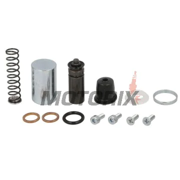 Opravná sada brzdového třmenu -ALL BALLS- Gas Gas ES 700 2023-2024, SM 700 2023-2024, Husqvarna Enduro 701 2016-2024, Supermoto 701 2016-2024, KTM Enduro 690 2014-2024, LC4 640 2003-2005, SMC 625 2004-2006, SMC 660 2003-2005