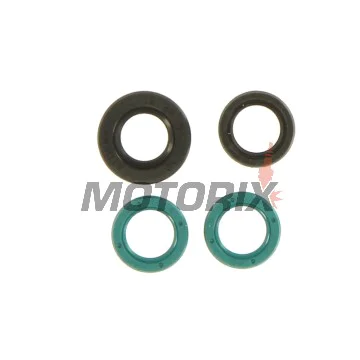 Kompletní sada gufer motoru -ATHENA- Yamaha TDM 850 1991-2001