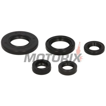 Sada gufer motoru -WINDEROSA- Yamaha TT-R 125 2000-2022