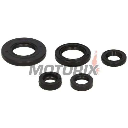 Sada gufer motoru -WINDEROSA- Yamaha TT-R 125 2000-2022