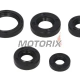 Sada gufer motoru -WINDEROSA- Kawasaki KLF 300 1986-2005, Kawasaki KLF 400 1997