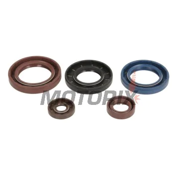 Sada gufer motoru -ATHENA- CAN-AM Outlander. 800 2009/2011/2013-2015, Outlander. 1000 2011-2018, Outlander. 976 2012-2018