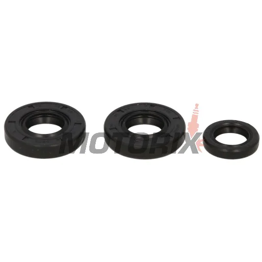Sada gufer motoru -WINDEROSA- KTM ADV 50 1997-2000, KTM Mini Adven. 50 2000