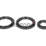 Opravná sada diferenciálu -ALL BALLS- Yamaha YFM 660 2002-2008, YXR (Rhino) 450 2006-2009, YXR (Rhino) 660 2004-2007, YXR (Rhino) 700 2008-2013
