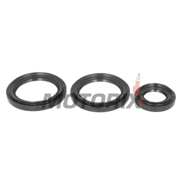 Opravná sada diferenciálu -ALL BALLS- Yamaha YFM 660 2002-2008, YXR (Rhino) 450 2006-2009, YXR (Rhino) 660 2004-2007, YXR (Rhino) 700 2008-2013
