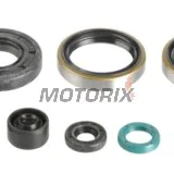 Sada gufer motoru -ATHENA- Kawasaki KX 250 2005-2008