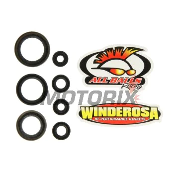 Sada gufer motoru -WINDEROSA- KTM EXC 125 1993-1997, KTM SX 125 1993-1997
