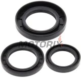 Opravná sada diferenciálu -4 RIDE- Kawasaki KLF 300 1989-2005, Kawasaki KLF 400 1993-1999