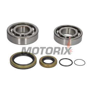 Sada ložisek a gufer klikové hřídele -ALL BALLS- Gas Gas EC 200/250 2008-2019, EC 300 2008-2020, Enduro 250/300 2018, MC 250 2008-2009, XC 200/250/300 2018-2019
