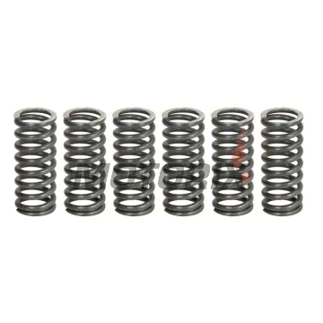 Sada pružin spojky -TRW- MEF162-6, Yamaha FZS Fazer 600 (2000-2003), SRX 400 (1990-1996), WR250R/X (2008-2016), XJ 650 (1980-1985), XJR 400 (1993-1999), XV Virago 750 (1992-1998), YZF 600R Thunder Cat (1996-2002)