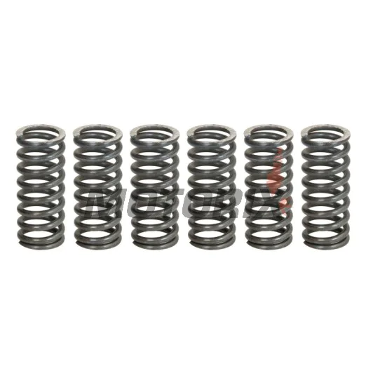 Sada pružin spojky -TRW- MEF162-6, Yamaha FZS Fazer 600 (2000-2003), SRX 400 (1990-1996), WR250R/X (2008-2016), XJ 650 (1980-1985), XJR 400 (1993-1999), XV Virago 750 (1992-1998), YZF 600R Thunder Cat (1996-2002)