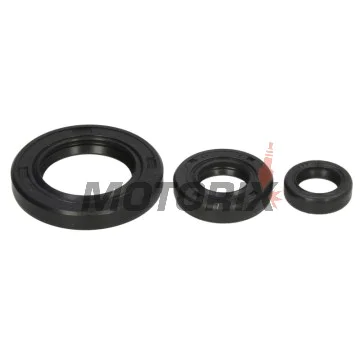 Sada gufer motoru -WINDEROSA- Yamaha XT 250 2008-2024, Yamaha YFM 250 2008-2013