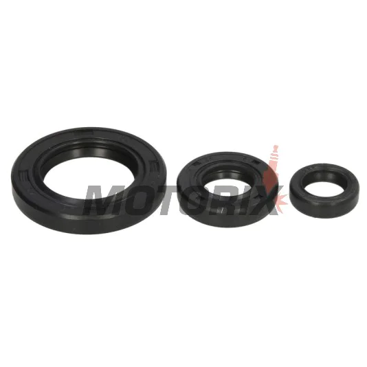Sada gufer motoru -WINDEROSA- Yamaha XT 250 2008-2024, Yamaha YFM 250 2008-2013