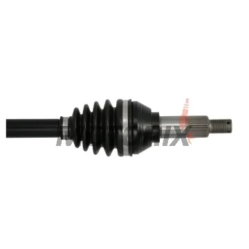 Poloosa -ALL BALLS- Can-Am Defender 1000 2016-2019, Defender 500 2017-2021, Defender 800 2016-2021