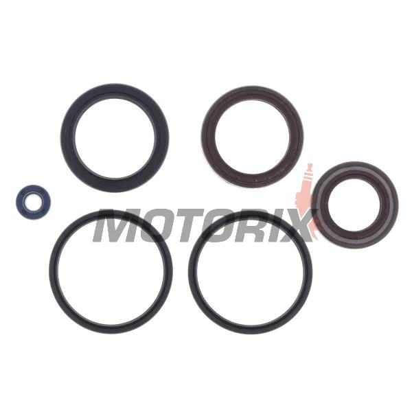 Sada gufer motoru -ATHENA- Aprilia Atlantic 500 2001-2008, Atlantic 400 2005-2008, Scarabeo 500 2003-2008, Scarabeo 400 2006-2008, Gilera Fuoco 500 2007-2009, Nexus 500 2003-2011, Malaguti GT 500 2005