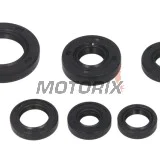 Sada gufer motoru -WINDEROSA- Honda TRX 300 1993-2009