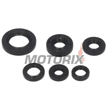 Sada gufer motoru -WINDEROSA- Honda TRX 300 1993-2009