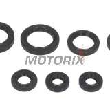 Sada gufer motoru -WINDEROSA- Honda TRX 350 2000-2006