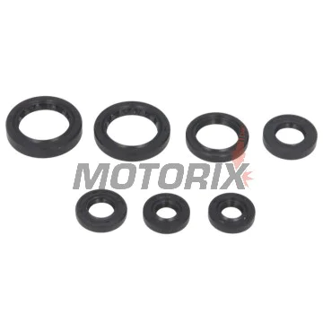 Sada gufer motoru -WINDEROSA- Honda TRX 350 2000-2006