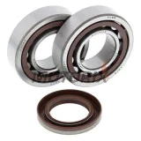 Sada ložisek a gufer klikové hřídele -ALL BALLS- KTM EXC 400 2000-2002, 2005-2006, EXC 450/525 2003-2007, EXC 520 2000-2002, EXC-G 250 2002-2005, EXC-G 400 2004-2006, EXC-G 450 2003-2007, MXC 400/520 2001-2002, MXC 450 2004-2005, 2007, SMR 525 2005