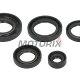 Sada gufer motoru -WINDEROSA- Arctic Cat Arctic Cat 650 2005-2011, Arctic Cat TRV 650 2007-2008