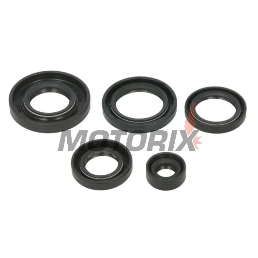 Sada gufer motoru -WINDEROSA- Arctic Cat Arctic Cat 650 2005-2011, Arctic Cat TRV 650 2007-2008