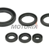 Sada gufer motoru -WINDEROSA- Honda TRX 650 2003-2005, Honda TRX 680 2006-2017