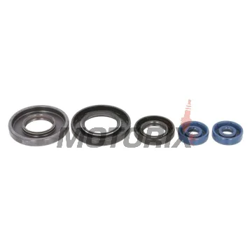 Kompletní sada gufer motoru -ATHENA- Aprilia Leonardo 125/150 1996-2004, Scarabeo 125 1999-2004, Scarabeo 150 1999-2002, Scarabeo 200 1999-2003