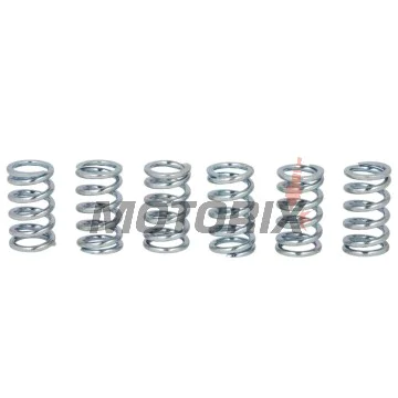 Sada pružin spojky -TRW- MEF123-6, Honda CR80R, CRF100F, XR100R, Kawasaki EN450/500 Vulcan, GPZ1000RX Ninja, GTR1000/1400, ZL Eliminator, ZR Zephyr, ZRX1100, ZXR750 Stinger, ZX1000 Ninja