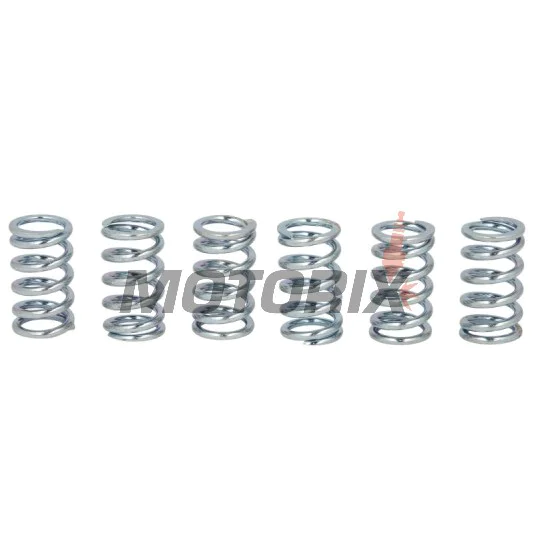 Sada pružin spojky -TRW- MEF123-6, Honda CR80R, CRF100F, XR100R, Kawasaki EN450/500 Vulcan, GPZ1000RX Ninja, GTR1000/1400, ZL Eliminator, ZR Zephyr, ZRX1100, ZXR750 Stinger, ZX1000 Ninja