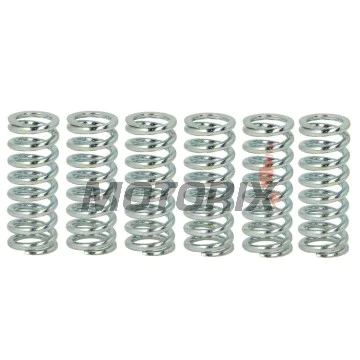 Sada pružin spojky -TRW- MEF145-6, Honda Hornet 900, CBR600F/FS/FA/650F & Fireblade 900RR/954RR (1996-2016), Suzuki GSX600F, GSX-R750, RF600R, RM-X250 (1990-1997)