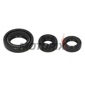 Sada gufer motoru -WINDEROSA- Suzuki LT-F 250 2002-2014, Suzuki LT-Z 250 2004-2009