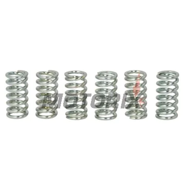 Sada pružin spojky -TRW- MEF109-6, Honda CB125T/T2, CB250RS/RSZ, CB550F/750F/750K/750C, CB650B/C/Z/SC, CB900F Bol d'Or, CB1100F/R 1974-1986, CM125C/185T 1978-1983, GL500 Silverwing 1982-1983, MTX200RW 1983-1984, NX250 1988-1993, TRX250EX Sporttra