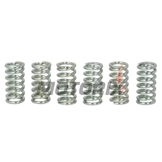 Sada pružin spojky -TRW- MEF109-6, Honda CB125T/T2, CB250RS/RSZ, CB550F/750F/750K/750C, CB650B/C/Z/SC, CB900F Bol dOr, CB1100F/R 1974-1986, CM125C/185T 1978-1983, GL500 Silverwing 1982-1983, MTX200RW 1983-1984, NX250 1988-1993, TRX250EX Sporttra