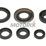 Sada gufer motoru -WINDEROSA- Honda TRX 400 2005-2014