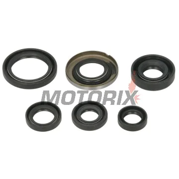 Sada gufer motoru -WINDEROSA- Honda TRX 400 2005-2014