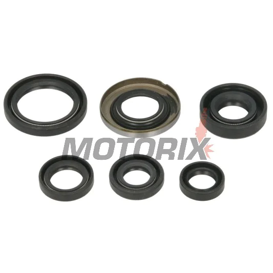 Sada gufer motoru -WINDEROSA- Honda TRX 400 2005-2014