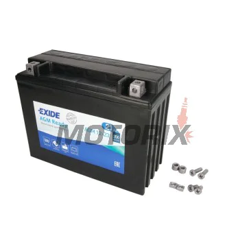 Akumulátor -EXIDE- YTX24HL-BS READY, 21Ah 12V