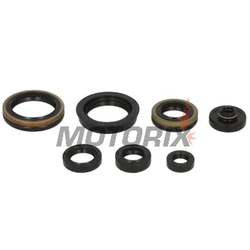 Sada gufer motoru -WINDEROSA- Suzuki RM 125 2004-2008
