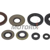 Sada gufer motoru -WINDEROSA- Yamaha YFM 350 1995-2005, Yamaha YFM 400 1999-2012