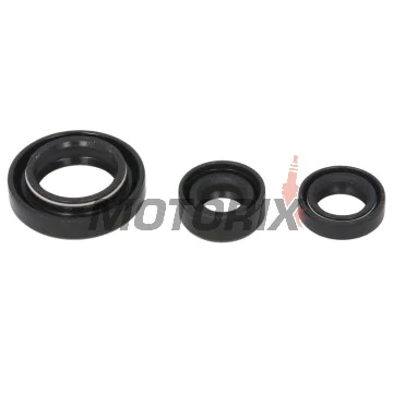 Sada gufer motoru -WINDEROSA- Suzuki LT-F 250 2002-2014, Suzuki LT-Z 250 2004-2009