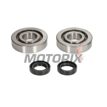 Sada ložisek a gufer klikové hřídele -ATHENA- P4E0480444002