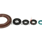 Sada gufer motoru -ATHENA- Yamaha TDM 900 2002-2010