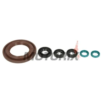 Sada gufer motoru -ATHENA- Yamaha TDM 900 2002-2010