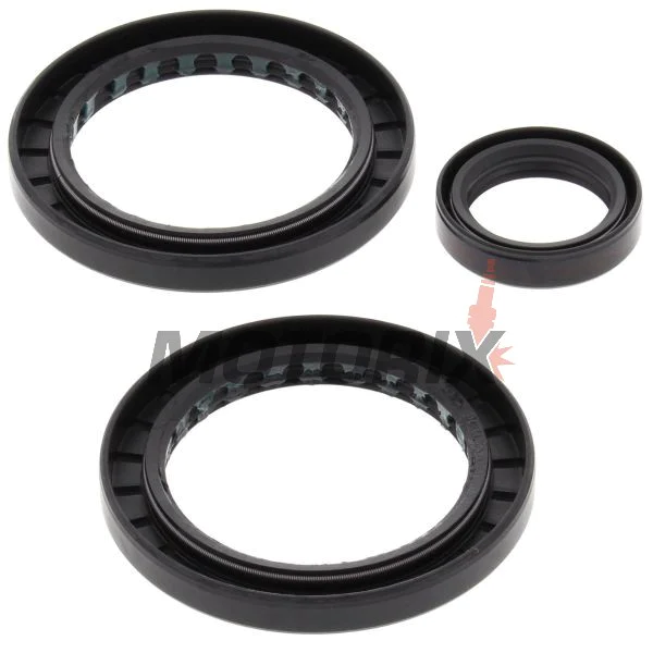 Opravná sada diferenciálu -ALL BALLS- Polaris Magnum 325 2000-2002, Magnum 500 1999-2003, Sportsman 600 2004, Sportsman 700 2002-2003, Xpedition 325/425 2000-2002