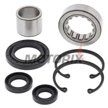 Opravná sada diferenciálu -ALL BALLS- Harley-Davidson FLHP 1690 2007, FLHPE 1690 2007, FLHPEI 1690 2003, FLHR 1340 1994-1998, FLHR 1432/1450 1999-2006, FLHR 1584 2007, FLHRC 1584 2007, FLHRCI 1340 1998, FLHRCI 1450 1999-2006