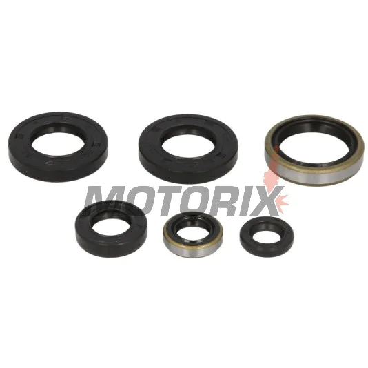 Kompletní sada gufer motoru -WINDEROSA- KTM SX 65 1998-2008, KTM XC 65 2008
