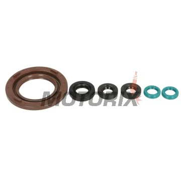 Sada gufer motoru -ATHENA- Yamaha TDM 900 2002-2010